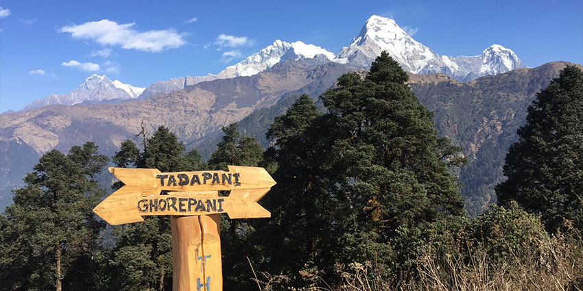 Trek to Ghorepani from Ulleri